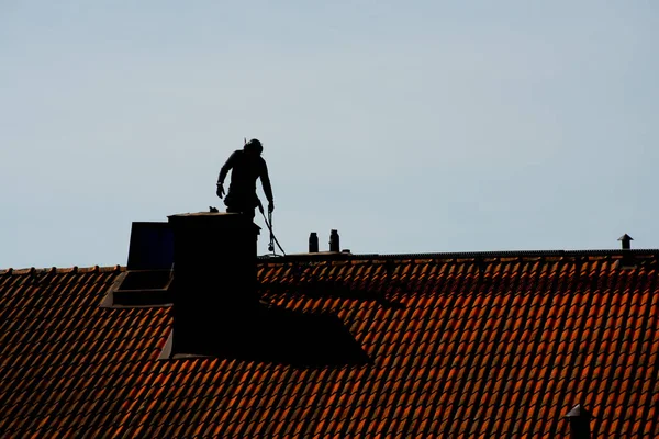 Professional Chimney Sweep Service